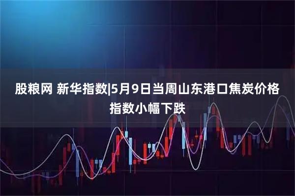 股粮网 新华指数|5月9日当周山东港口焦炭价格指数小幅下跌