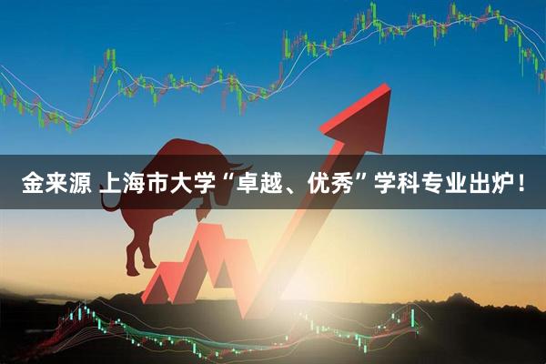 金来源 上海市大学“卓越、优秀”学科专业出炉！