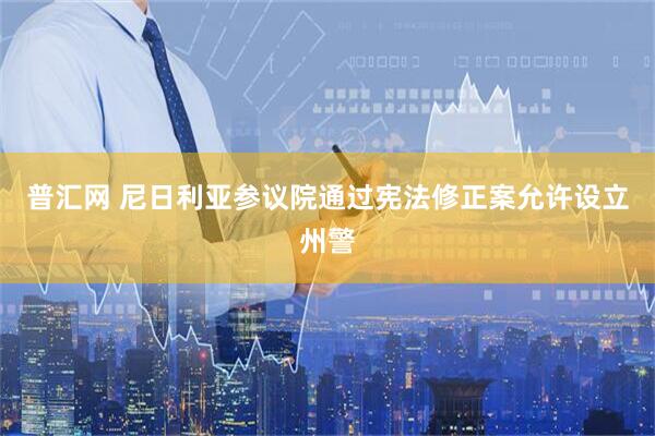 普汇网 尼日利亚参议院通过宪法修正案允许设立州警